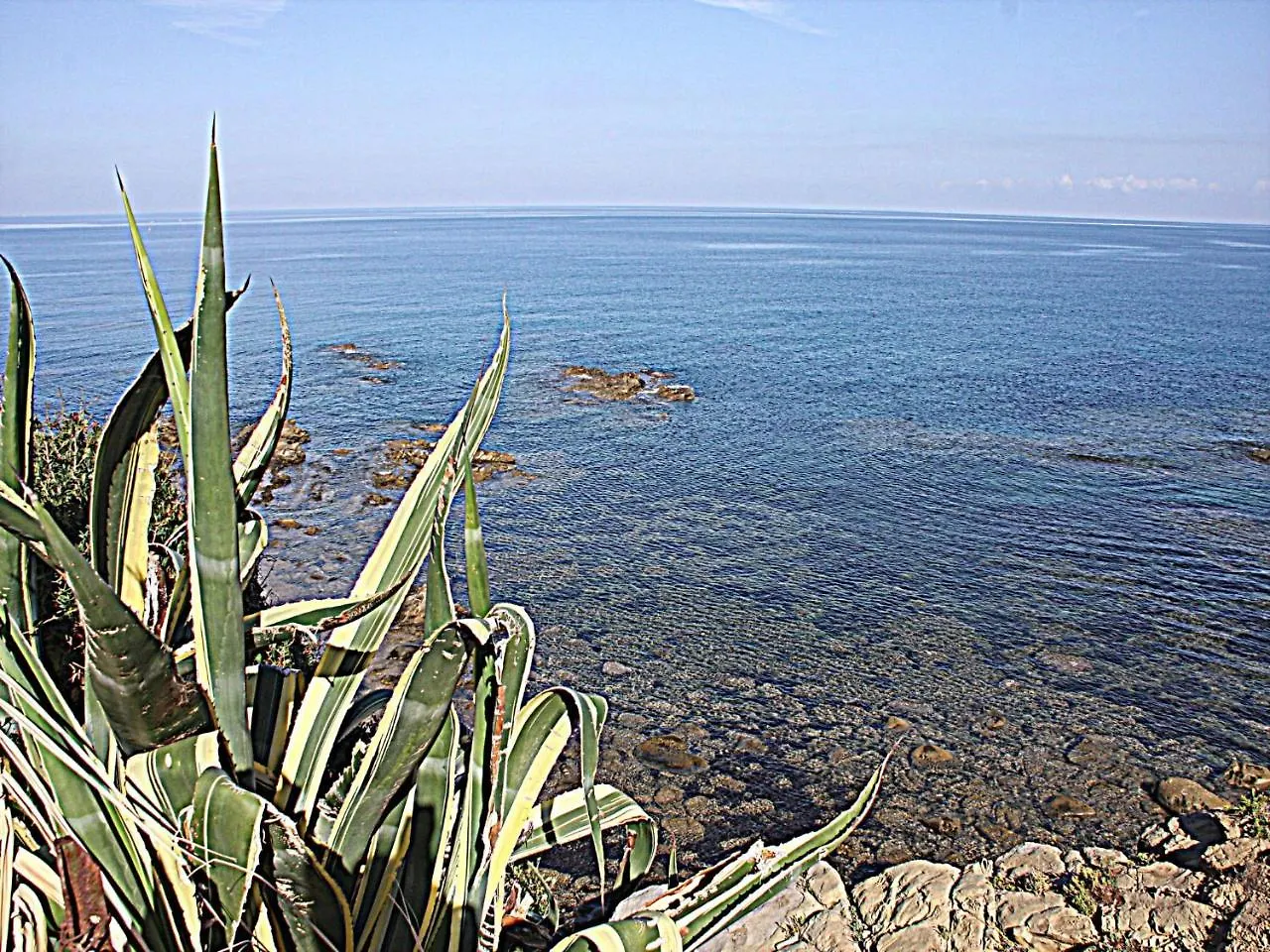 Ogliastrillo Apartments Cefalu